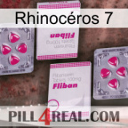 Rhinocéros 7 33